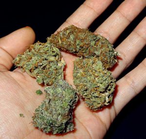 marijuana possession charge in Virginia